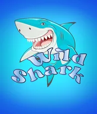 Wild Shark